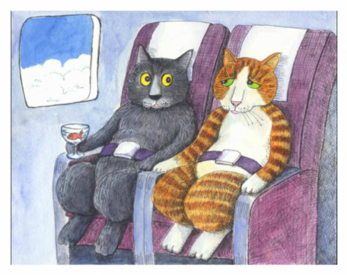 коты в самолете