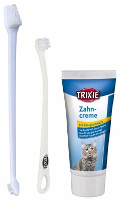зубная паста и щетка для кошек