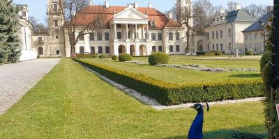 барочный дворец Замойских и ландшафтный парк в Козлувке, Люблин