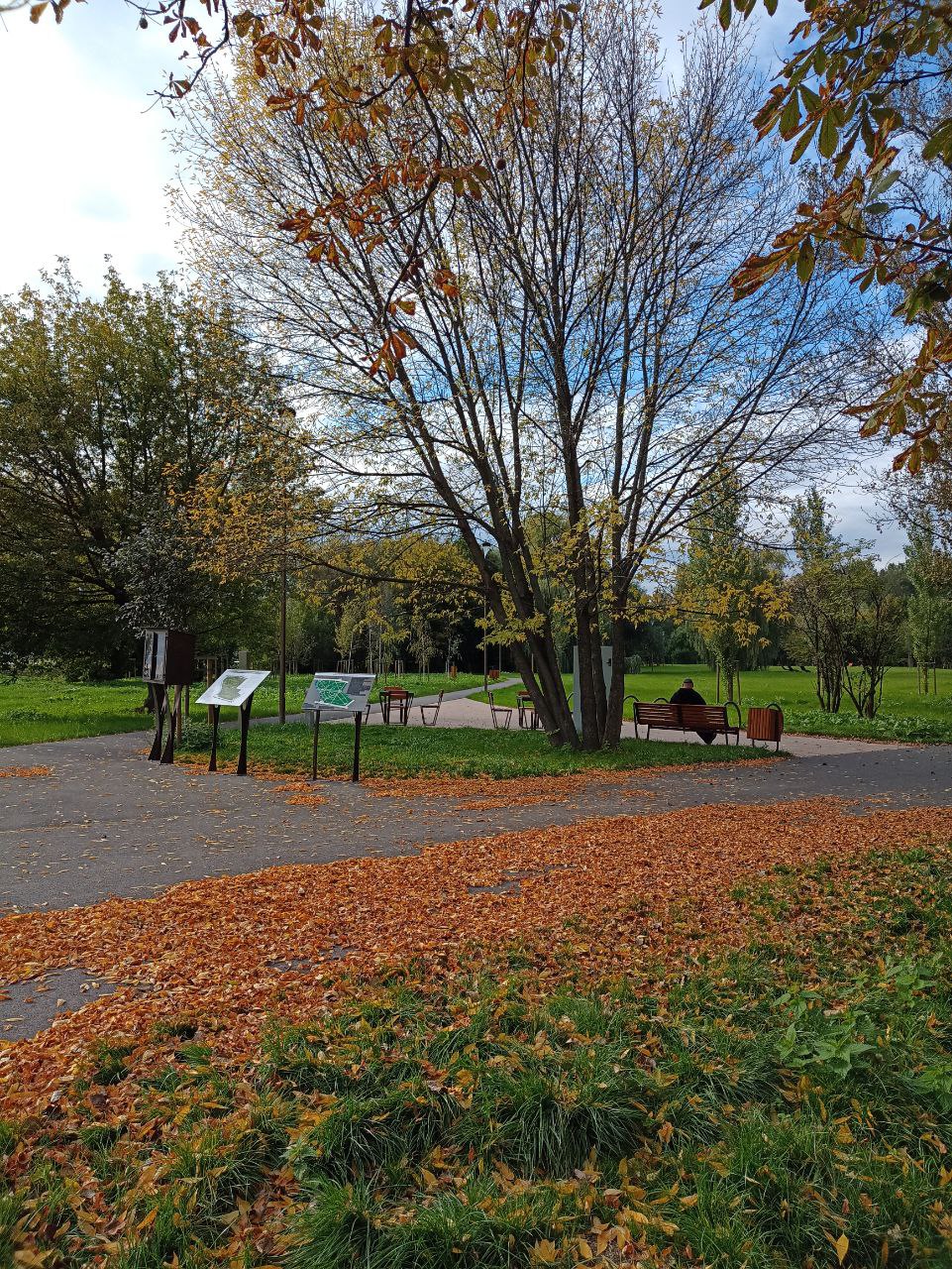 осень в парк Ludowy park Lublin